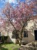 Vente Maison Raincy 93
