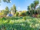 House SANARY-SUR-MER 