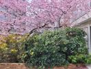 For sale Apartment Brunoy  91800 87 m2 4 rooms