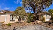 House LEGE-CAP-FERRET 