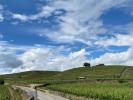 Vente Terrain 26