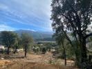 Land TAVACO 