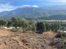 Land TAVACO 
