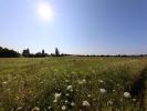 Vente Terrain Chapelle-sur-aveyron 45