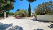 Annonce Vente 26 pièces Maison Saint-cyprien