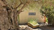 Acheter Maison Saint-cyprien Pyrenees orientales