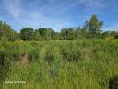 Acheter Terrain Montereau 230000 euros