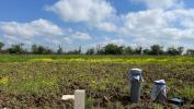 Vente Terrain Haraucourt 54