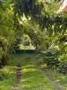 Vente Maison Sainte-rose 974