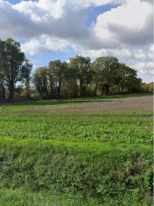 photo For sale Land BOUHET 17