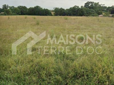 Vente Terrain SAINT-LYS 31470