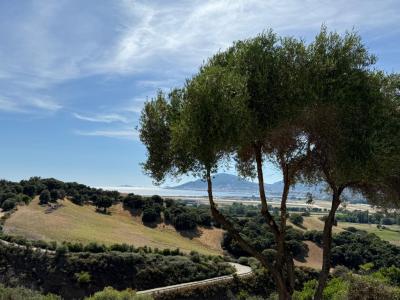 Vente Appartement 3 pièces BASTELICACCIA 20129