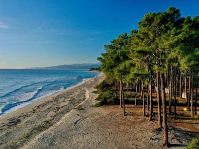photo For sale Apartment GHISONACCIA 20