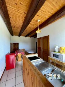 Location Appartement AUZON 43390