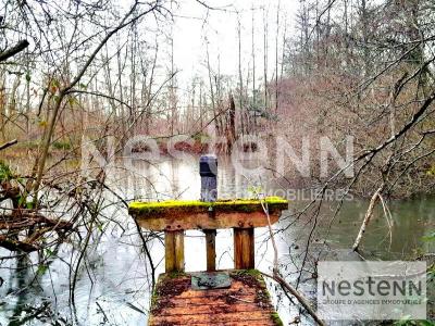 Vente Terrain CHEMERY 41700