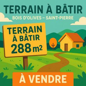 Vente Terrain SAINT-PIERRE  974