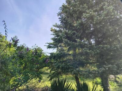 For sale House BEZANNES