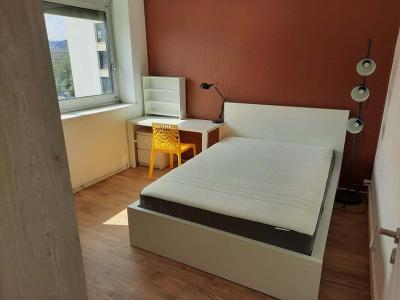 photo For rent Apartment NANCY 54
