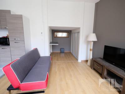 For rent Apartment SAINT-ETIENNE  42