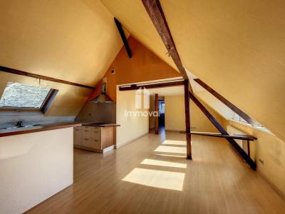 Vente Appartement SCHILTIGHEIM 