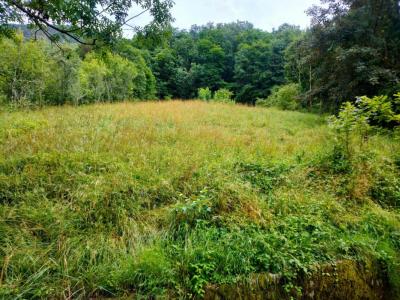 photo For sale House SALINS-LES-BAINS 39