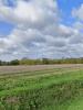 Land BOUHET 