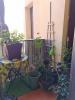 Annonce Vente 2 pièces Appartement