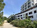 Apartment  13014