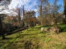 House NIMES 