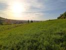 Land ALBI 