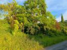 Land ALBI 