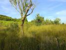 Land ALBI 