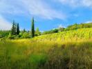 Land ALBI 