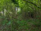 Land SERAINCOURT 