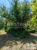 Acheter Terrain Chemery Loir et cher