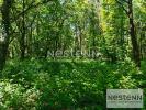 Acheter Terrain Chemery 429900 euros