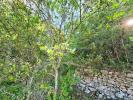 Vente Terrain Bras 83
