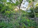 Annonce Vente Terrain Bras