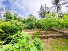 Annonce Vente Terrain