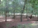 Acheter Prestige Salbris Loir et cher