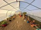 Acheter Maison Levier 420000 euros
