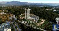 Annonce Location Bureau Sophia-antipolis