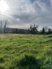Land SOULIGNAC 