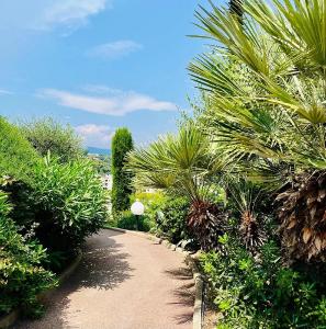 Vente Appartement 2 pièces NICE 06200