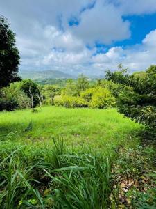 photo For sale Land VAUCLIN 972