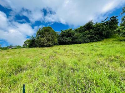 photo For sale Land VAUCLIN 972