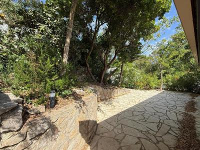 Vente Terrain FREJUS  83