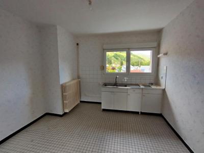 Location Appartement BUSSANG  88