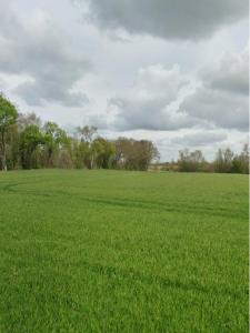 photo For sale Land BOUHET 17
