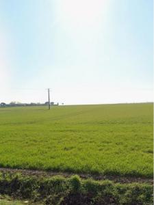 photo For sale Land VERINES 17